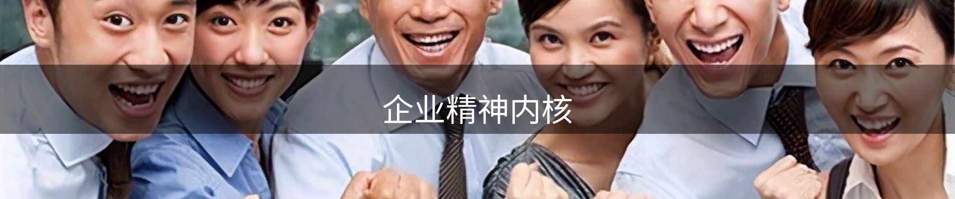企业精神内核