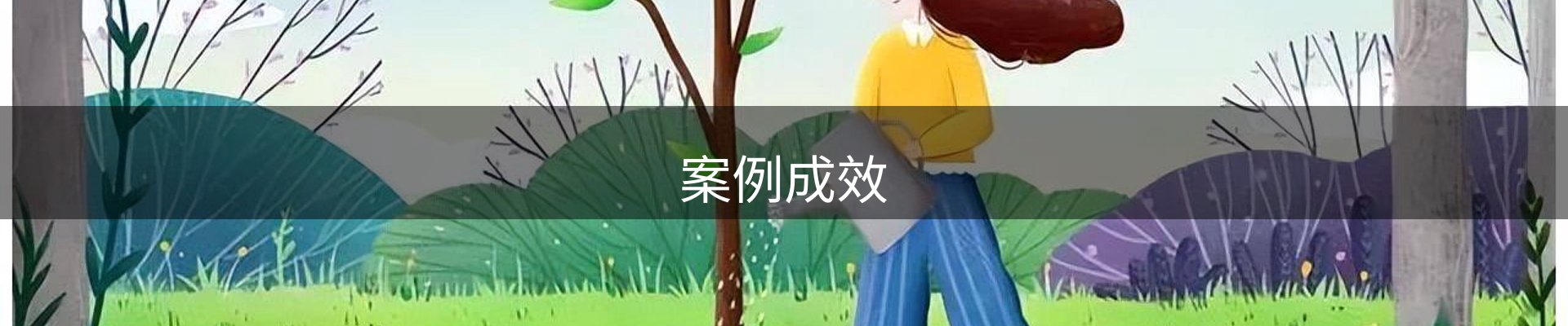 案例成效